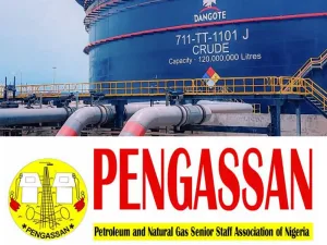 Energy Crisis Looms: PENGASSAN Halts Shell Gas Supplies Over Alleged Pay Discrimination