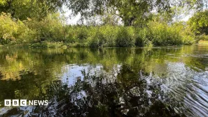 Thames Water 'flagship' chalk stream rated as poor