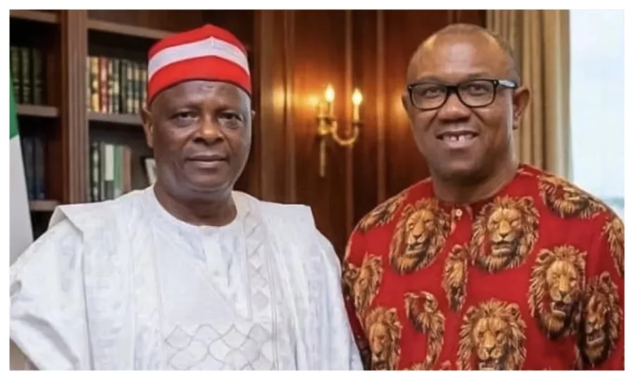 NDC to inaugurate Peter Obi, Kwankwaso Presidential Campaign Council