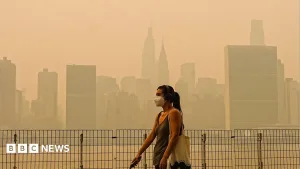 US Republicans accuse Canada of wildfire inaction