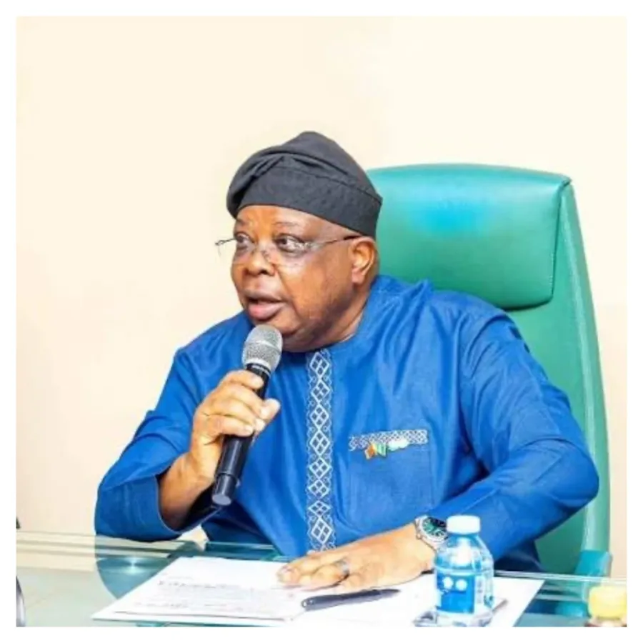 FG to impose new electricity tariff on universities, teaching hospitals over renewable energy – Tegbe